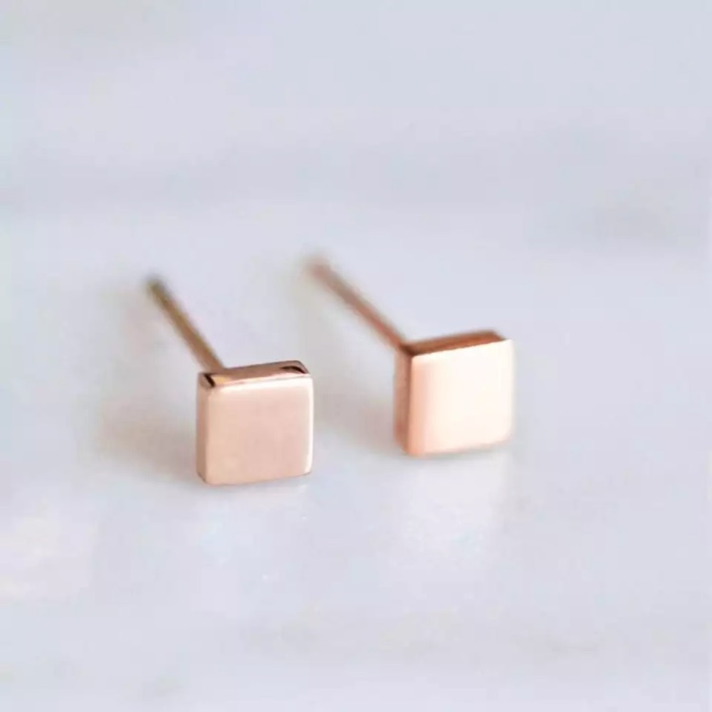Stainless Steel Delicate Stud